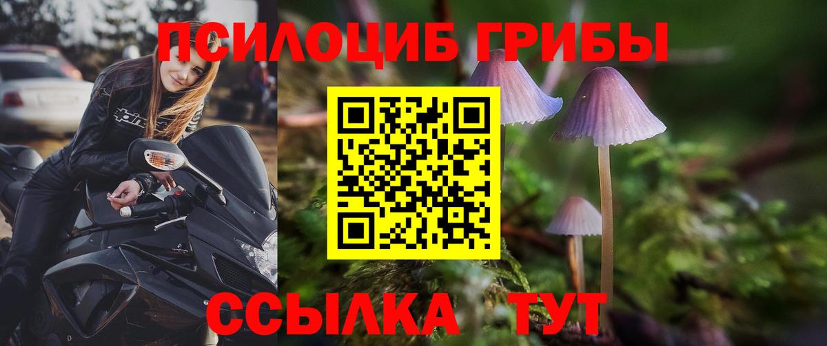 МЕФ   МДМА  Cocaine  Вход с VPN  Спасск-Дальний  ГАШ 